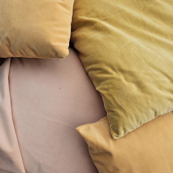 Coussin jaune (variable)